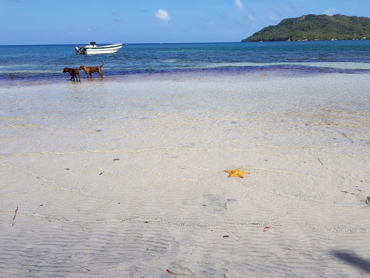 Inn Old Town Bay Providencia (Narino)